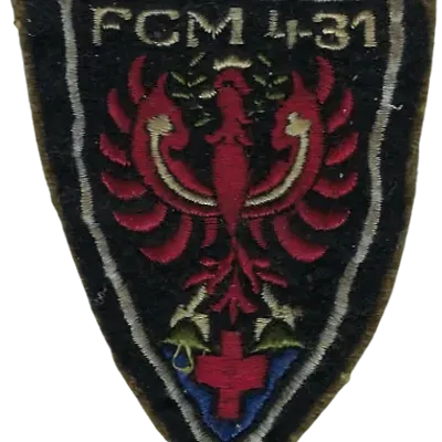 SSA : Formation Chirurgicale Mobile 431 Autriche