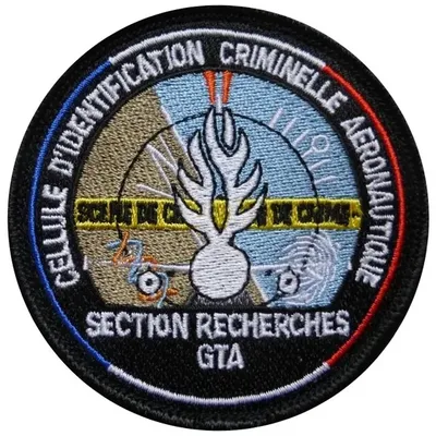 Cellule d'Identification Criminelle Aéronautique