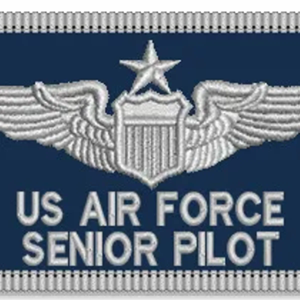 Air Force Pilot