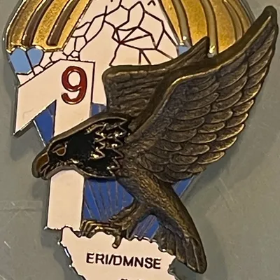 9e RCP, 1e Cie, ERI, DMNSE