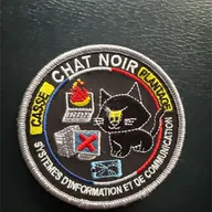 Chat Noir - Casse & Plantage - Système d’information et communication 