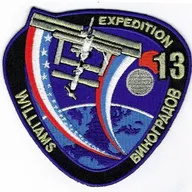 ISS-13 Williams