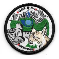 BSI - Gex - 01