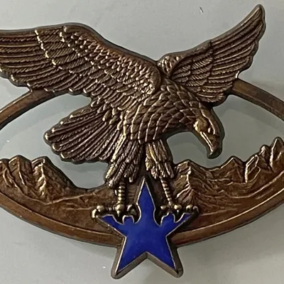 Brevet Spécialité Troupes de Montagne, Bronze