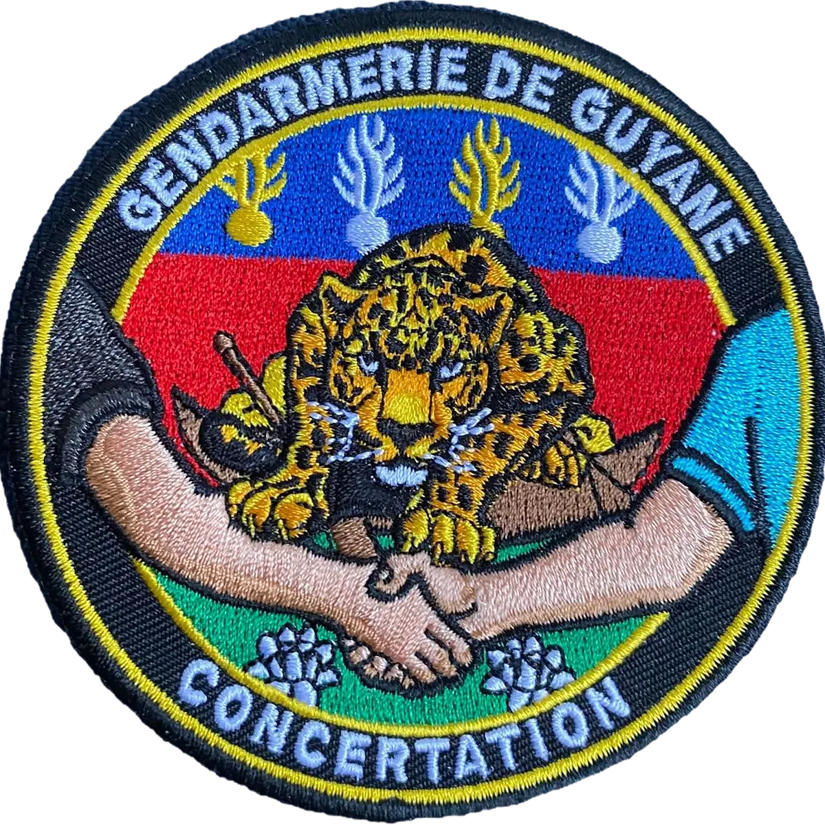 Concertation Guyane