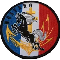 Charles de Gaulle - Mustang