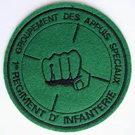 1er REGIMENT D' INFANTERIE - GROUPEMENT DES APPUIS SPECIAUX