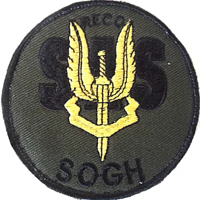 1er RPIMa - SAS - RECO/SOGH
