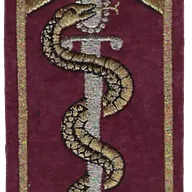 SSA : ESOSSA Ecole des Sous-Officiers du SSA Orléans Cadre et serpent dorés
