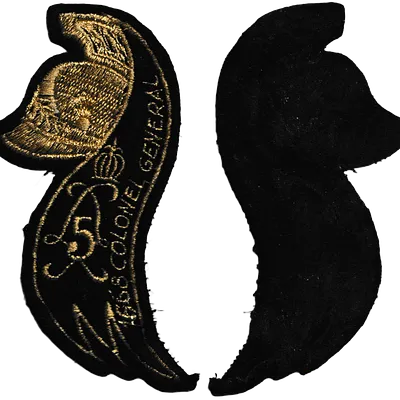 5ème Régiment de Dragons