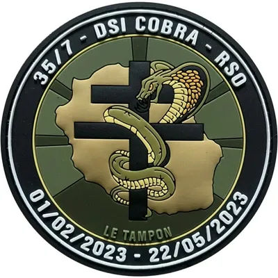 EGM 35/7 Revigny-sur-Ornain - DSI Cobra - Le Tampon