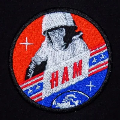 Mercury-2 Ham
