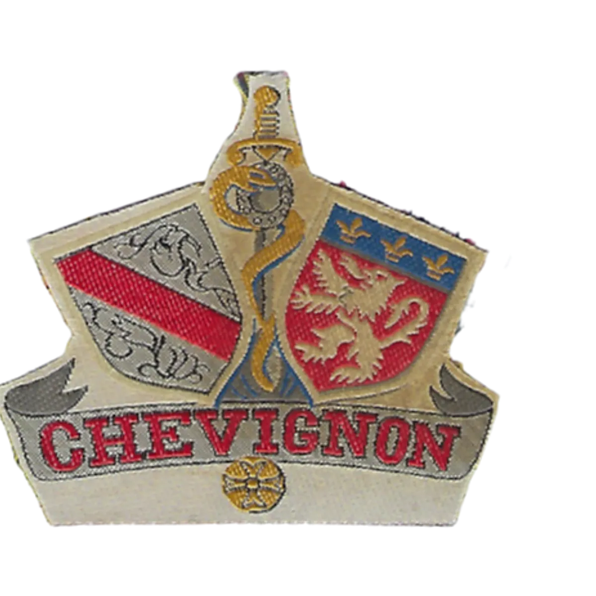 SSA : ESSA Lyon "CHEVIGNON"