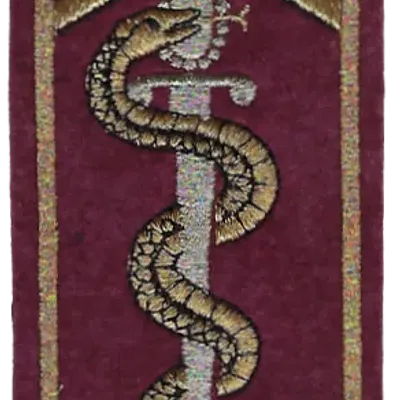 SSA : ESOSSA Ecole des Sous-Officiers du SSA Orléans Cadre et serpent dorés