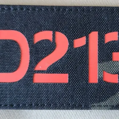 13e RDP - 2e escadron D213