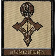 1er Régiment de Hussards Parachutistes, 16ème Bataillon de Chasseurs à Pied - Compagnie VBCI - Opération Barkhane - Groupement Tactique Désert Blindé BERCHENY 2020 - Camp de Gao