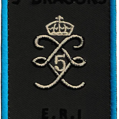 5ème Régiment de Dragons - Escadron de Reconnaissance et d'Intervention