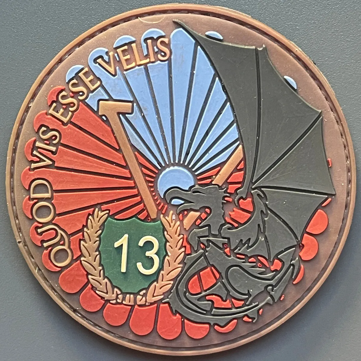13e RDP - 5ème Escadron