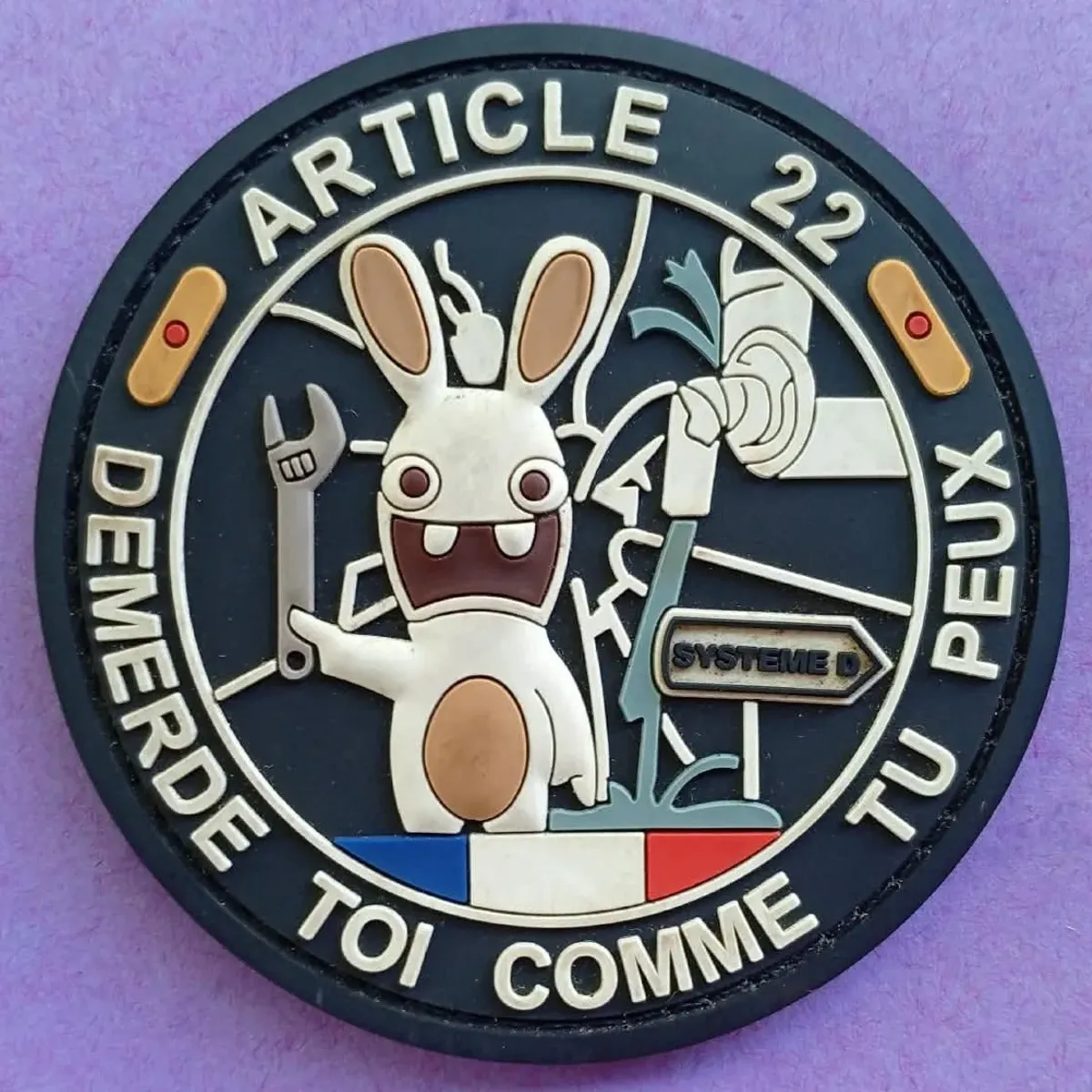 Article 22 - Lapin Crétin