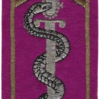 SSA : ESOSSA Ecole des Sous-Officiers du SSA Orléans Cadre doré et serpent argenté