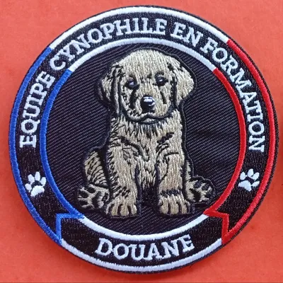 Equipe Cynophile en Formation - Douane