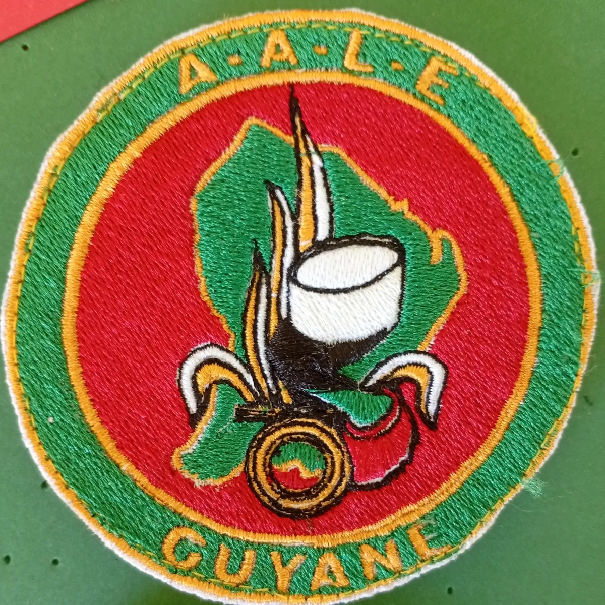 3e REI - Amicale des Anciens de la Légion étrangère - AALE