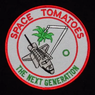STS-32 Space tomatoes