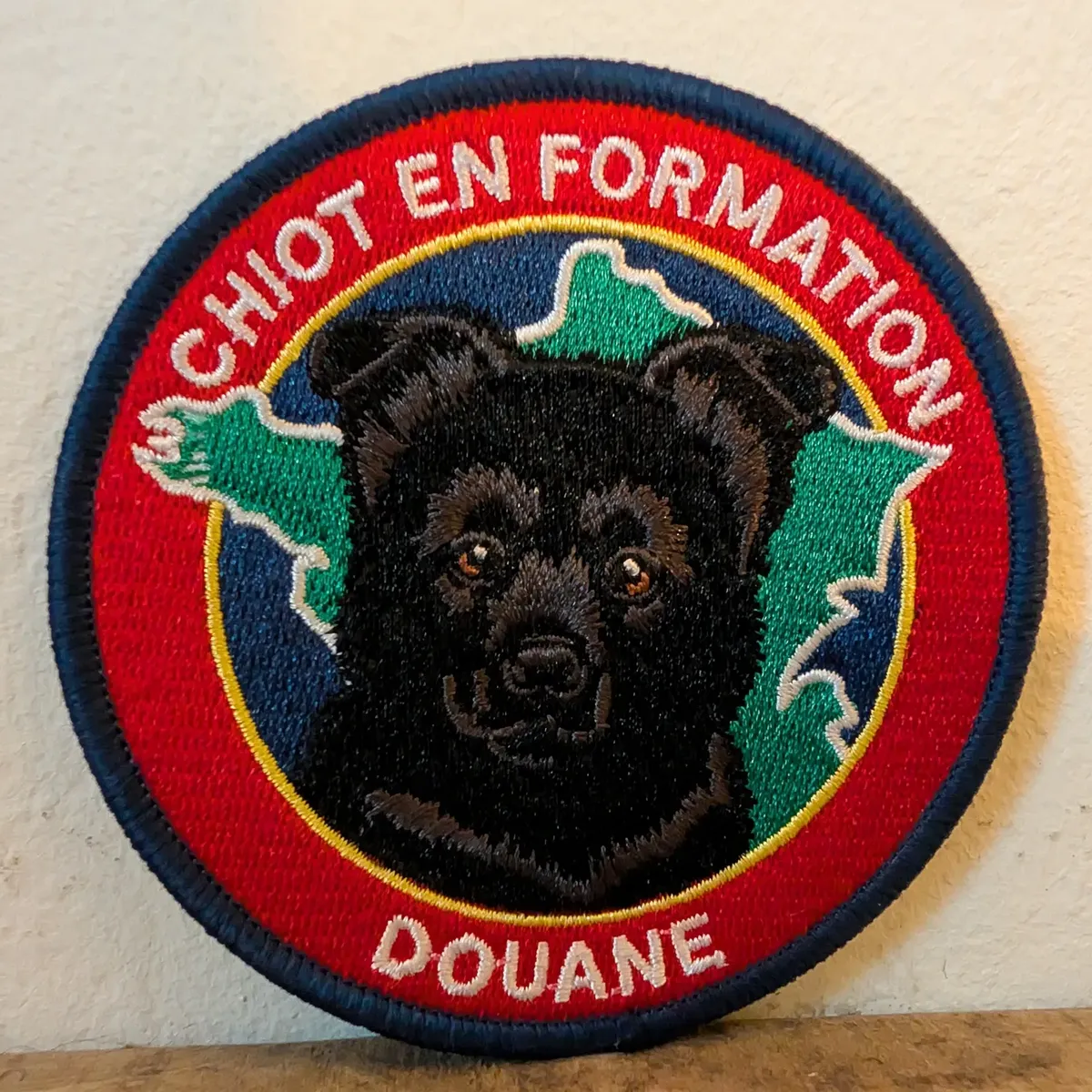 Chiot en formation