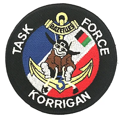 3e Régiment d'Infanterie de Marine - Task Force Korrigan