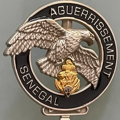 13e BIMa, Aguérrissement Sénégal