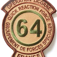 1er RPIMa - Opération LICORNE - GFS/QRF 64