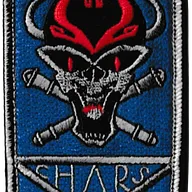 501° Régiment de Chars de Combat - 1° Compagnie - 2° Section