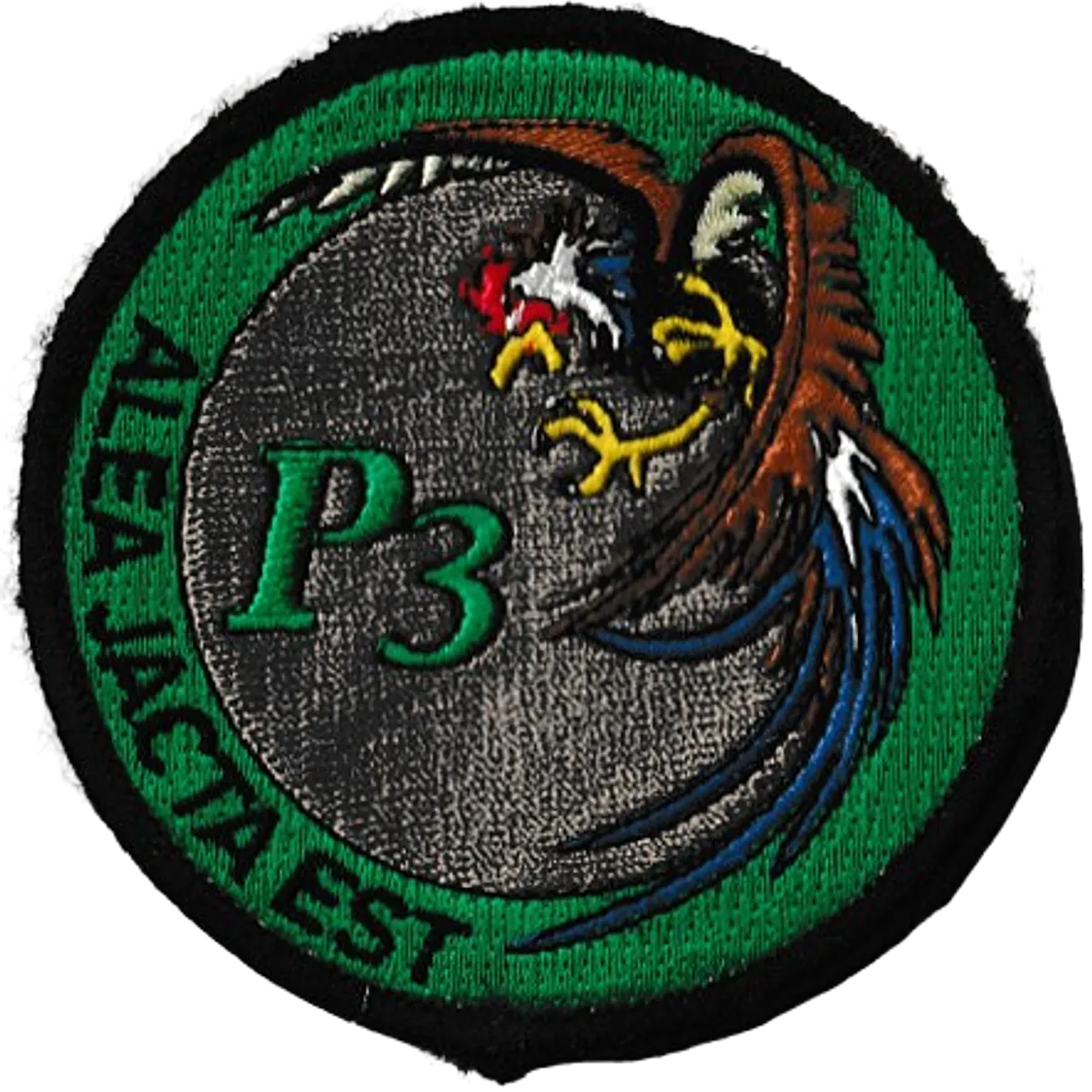 1er Régiment de Chasseurs - 2ème Escadron - 3ème Peloton