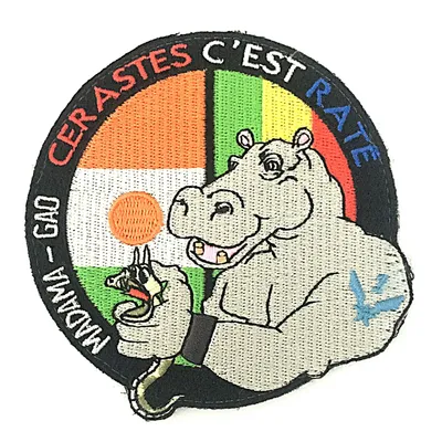 1er RHC - CERASTES II - NIGER