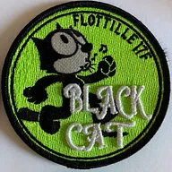 17F - Black cat