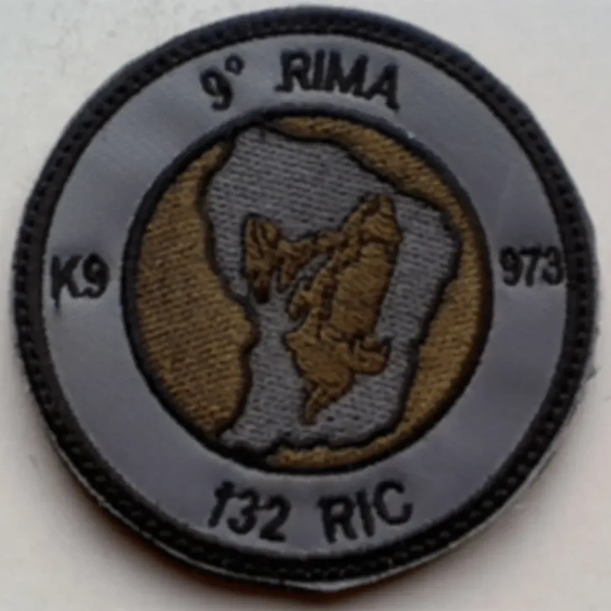 9e RIMa - 132 RIC - K9