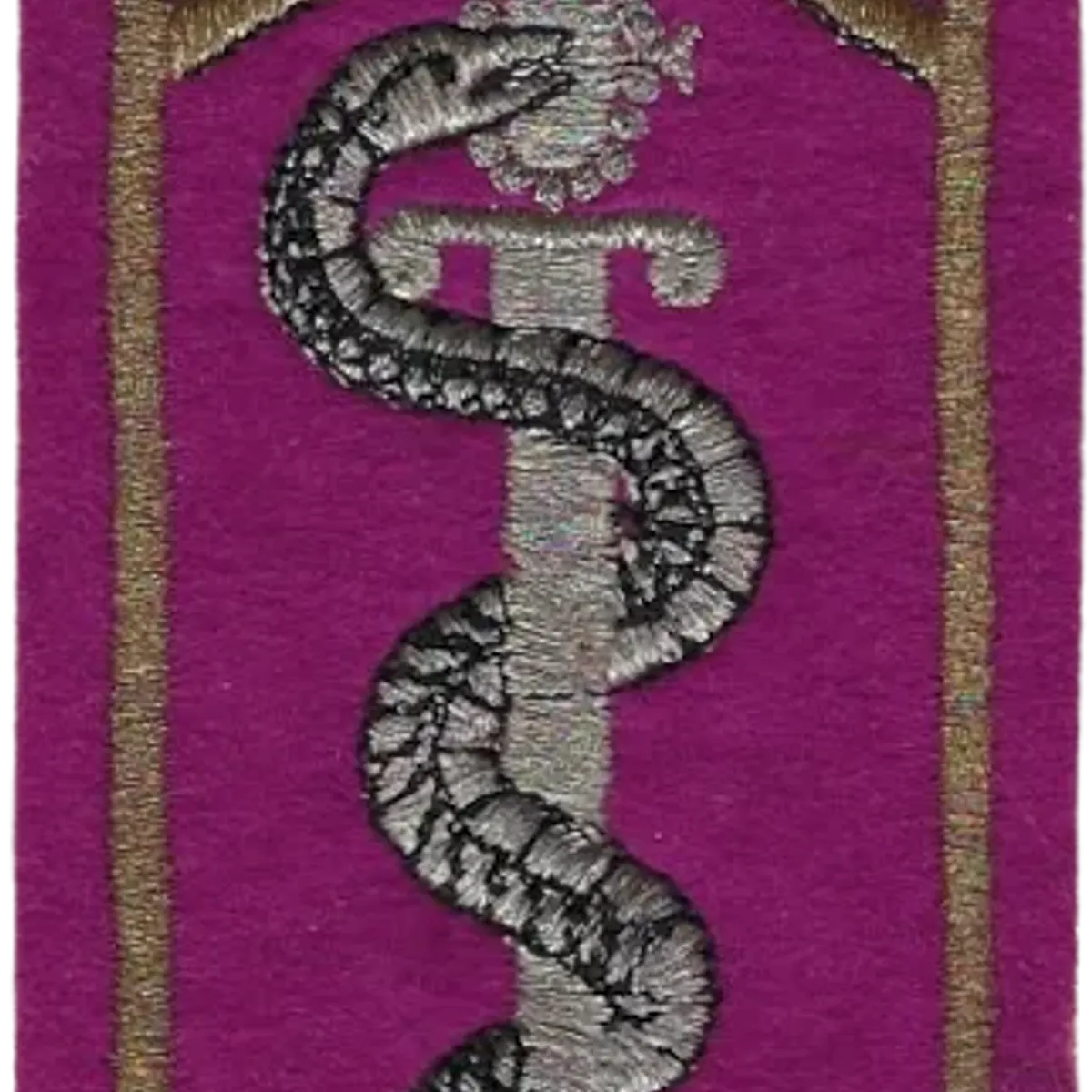SSA : ESOSSA Ecole des Sous-Officiers du SSA Orléans Cadre doré et serpent argenté