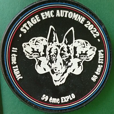 Stage Emc Automne 2022 - 11ème Tabac - 59 ème Explo - 88 ème Stups