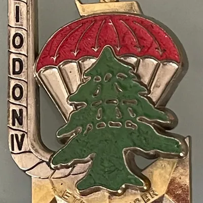 3e RPIMa, Diodon IV