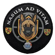Rescue Dog - Province de Namur et du Hainaut