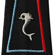 Passant d'épaule du 12ème Régiment de Cuirassiers - 8ème Escadron