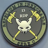 13e RDP - 1er escadron - Stage  SERE niveau C