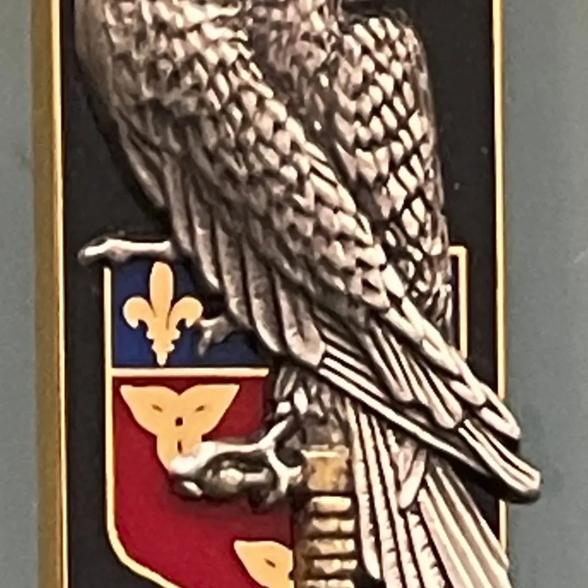 131e RI, Centre Entrainement Commando