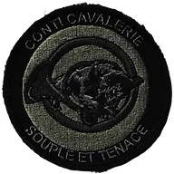 1er Régiment de Chasseurs - 4ème Escadron (BV)