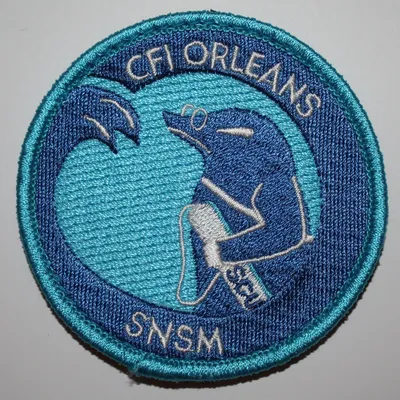 CFI SNSM Orléans