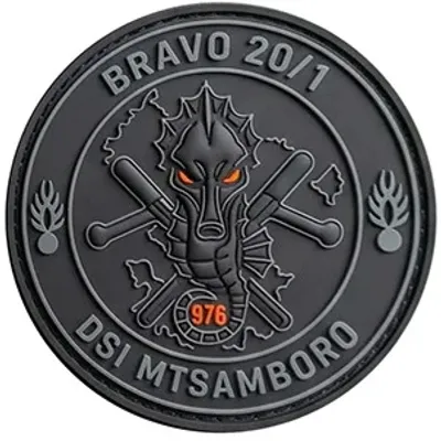 EGM 20/1 Rosny-sous-Bois - DSI Mtsamboro - Bravo
