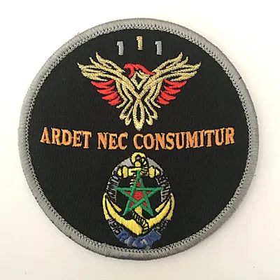 Régiment d'Infanterie Chars de Marine - 1er Escadron