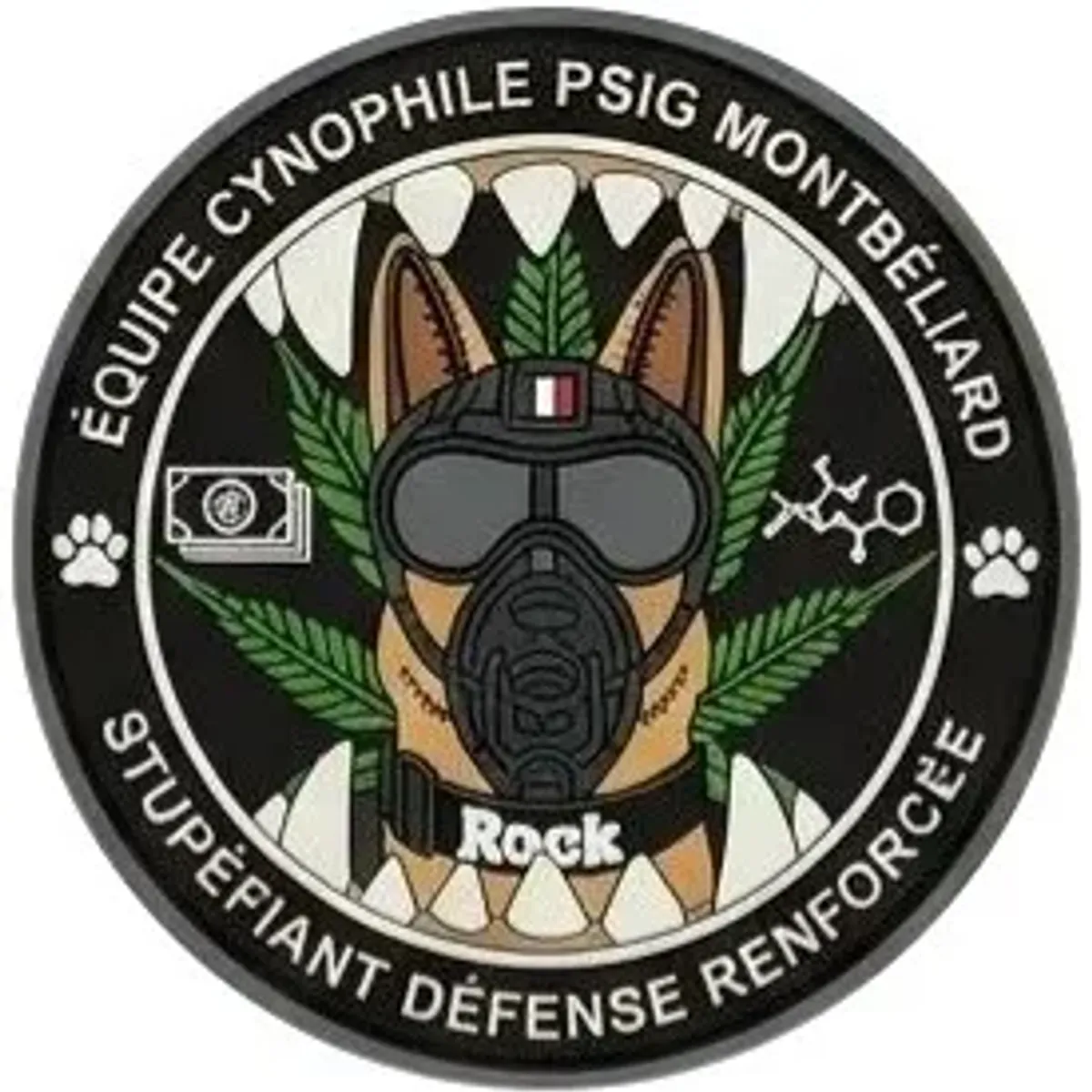 PSIG Sabre - Montbéliard - Equipe cynophile