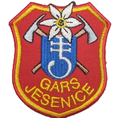 Pompiers professionnels Jesenice