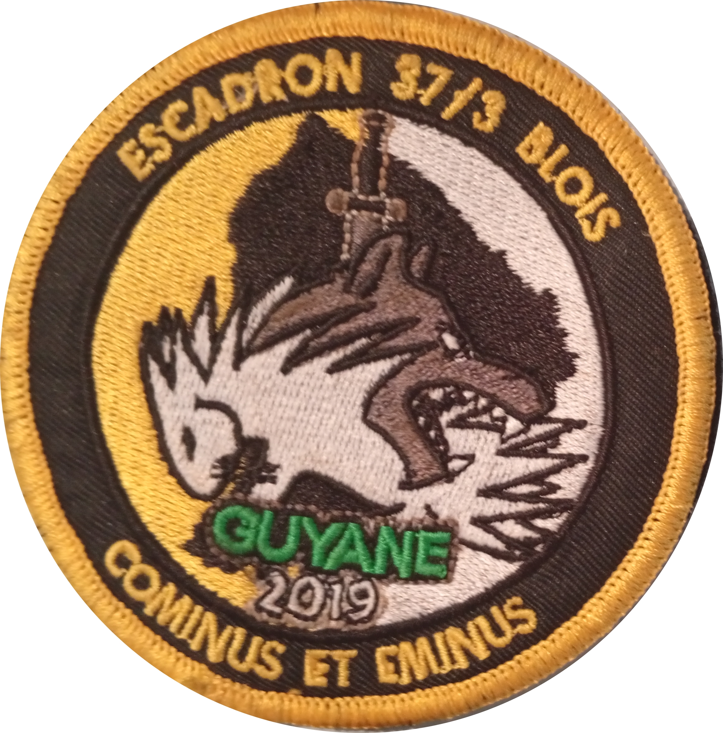EMG 37/3 - Blois - Guyane 2019